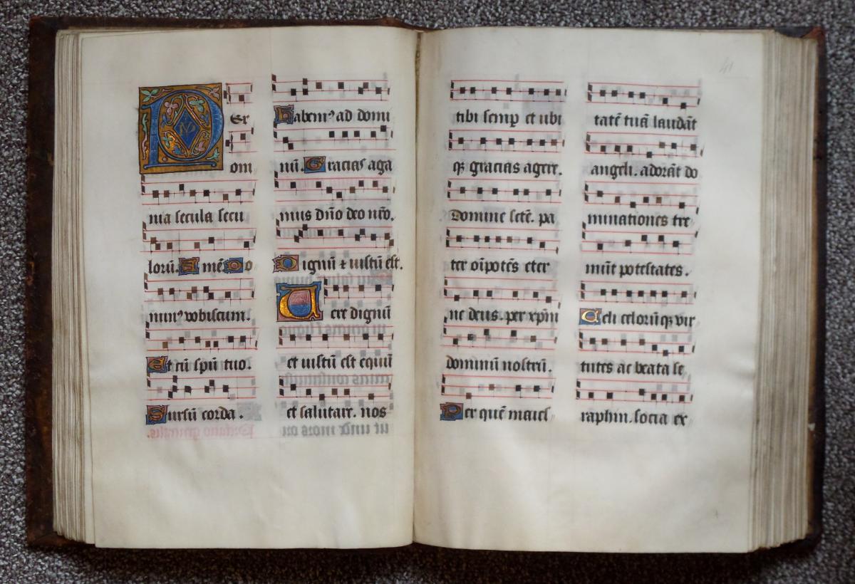 De leistenen van de Duinenabdij daar zat muziek in Tij