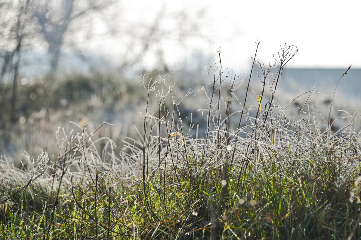 natuur