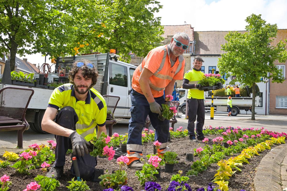 groendienst plant bloemen