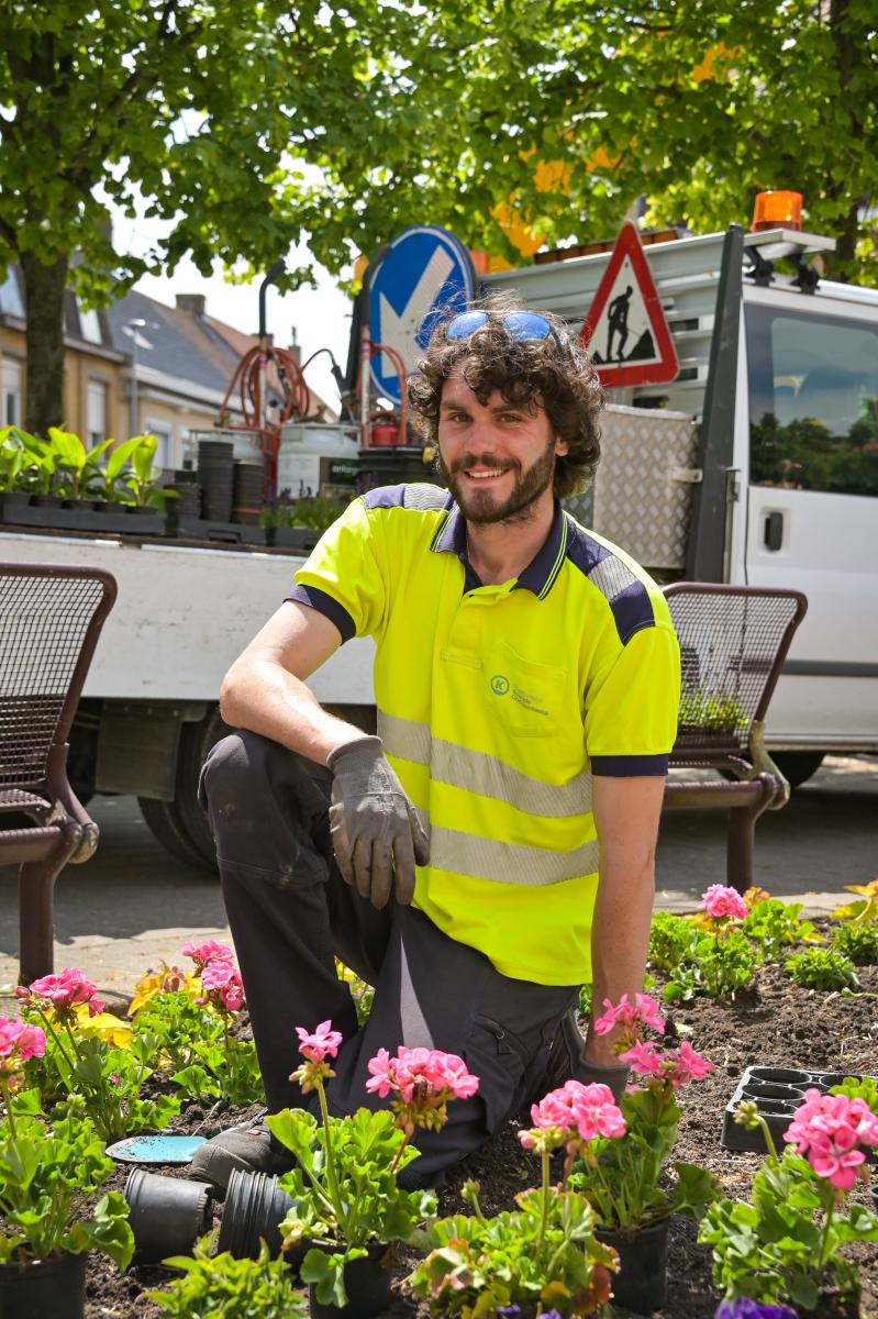 Groendienst