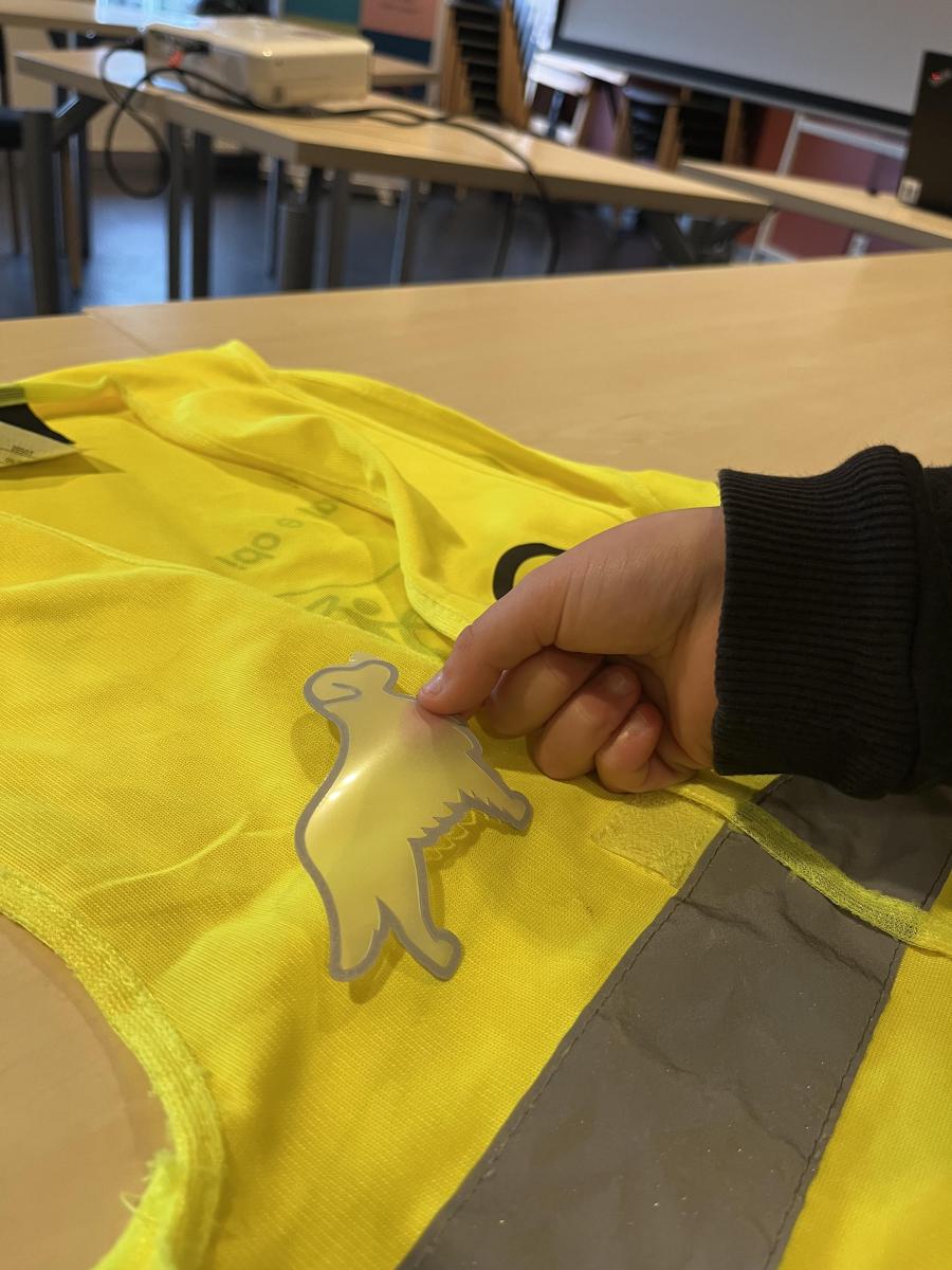 Fluohesje