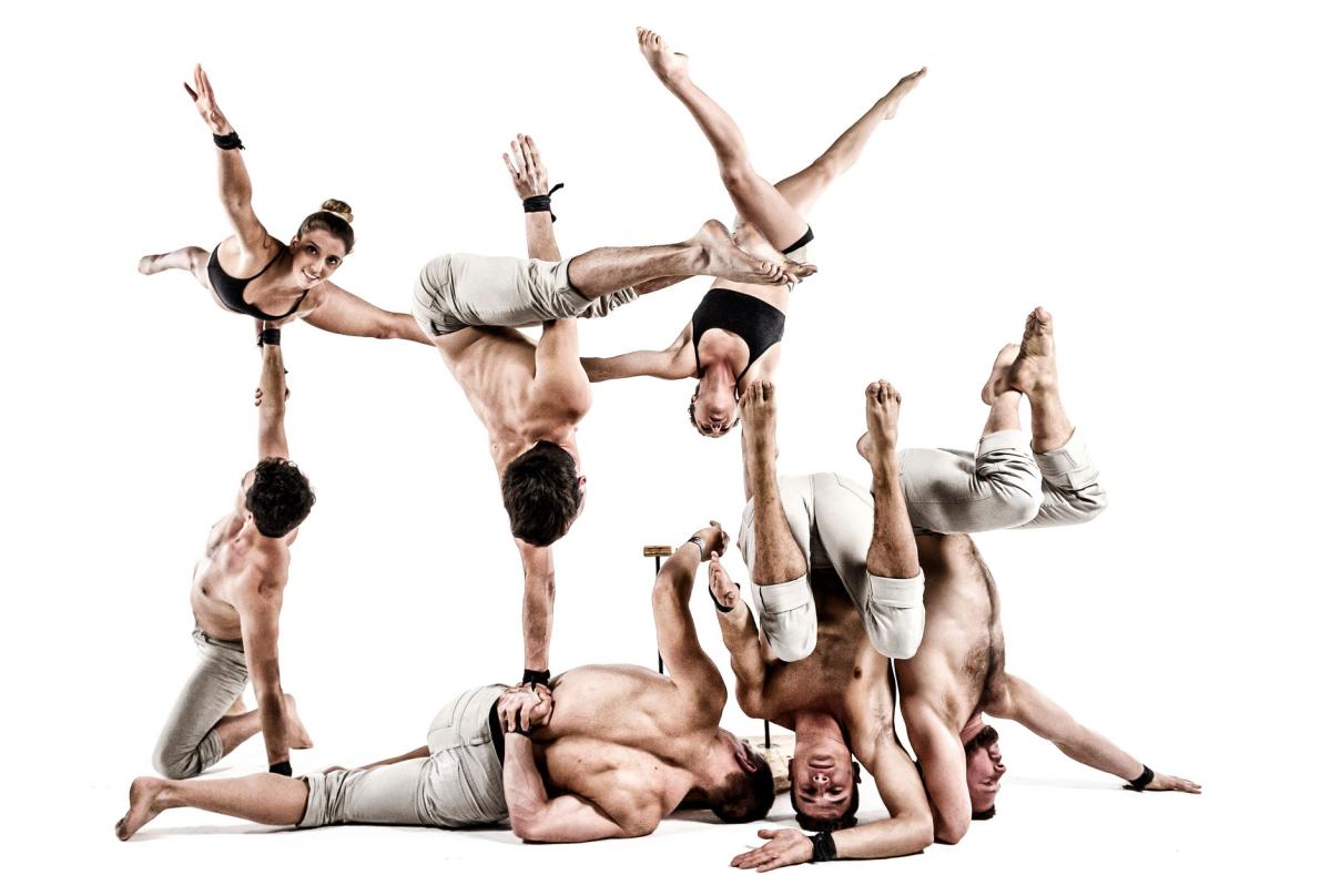 Gravity & Other Myths uit Australië